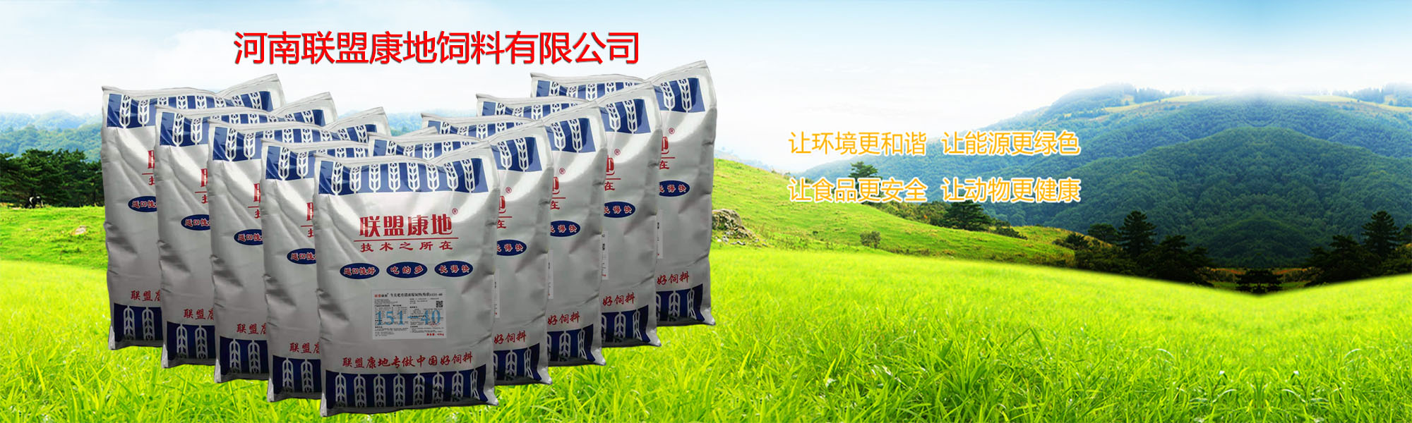 河南仙人掌视频仙人掌视频在线观看有限公司
