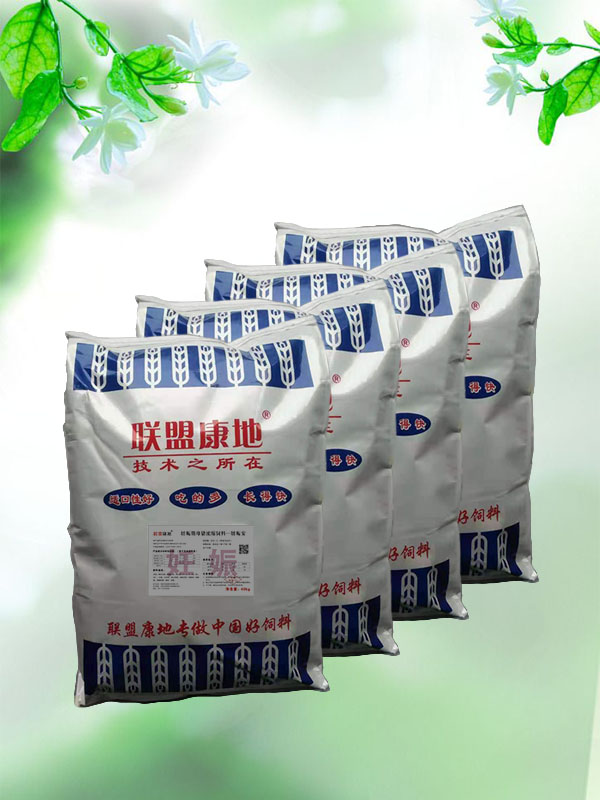 妊娠期母猪浓缩仙人掌视频在线观看